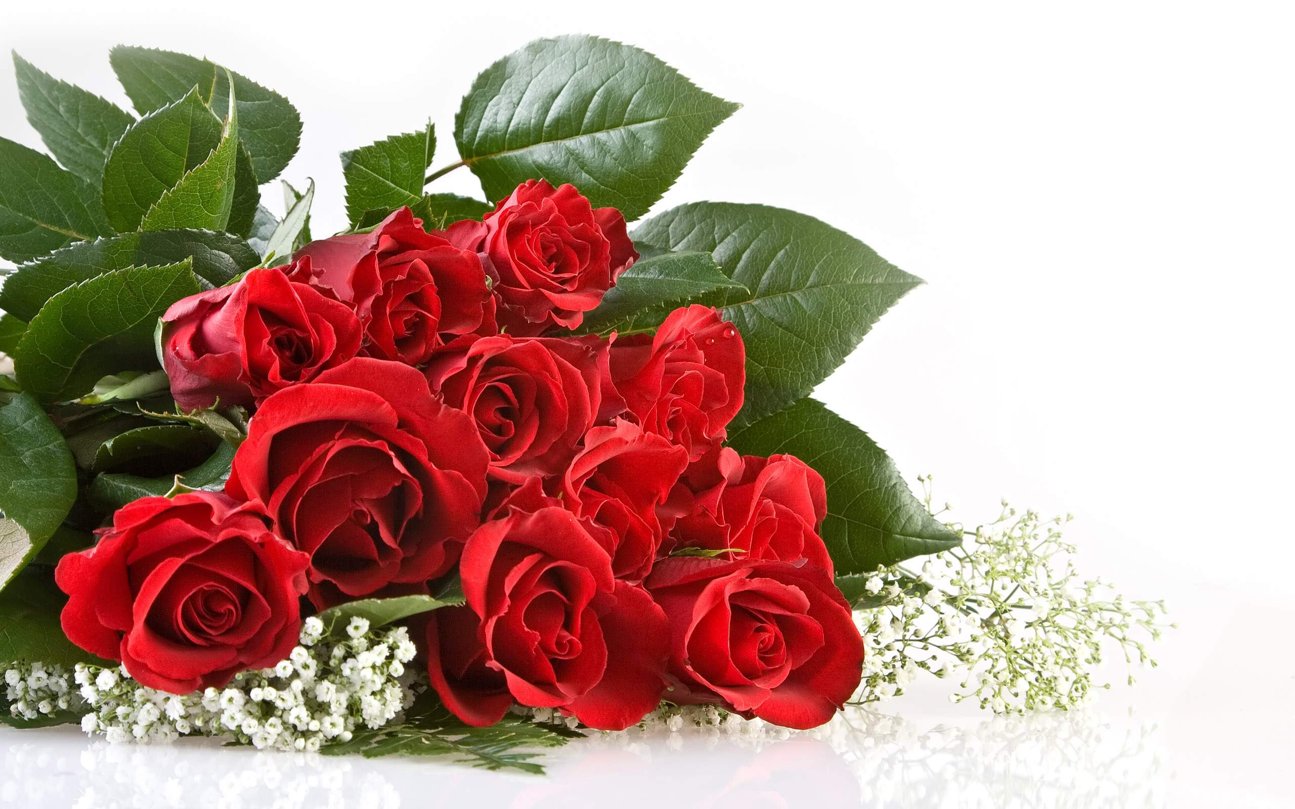Menù di San Valentino 2016